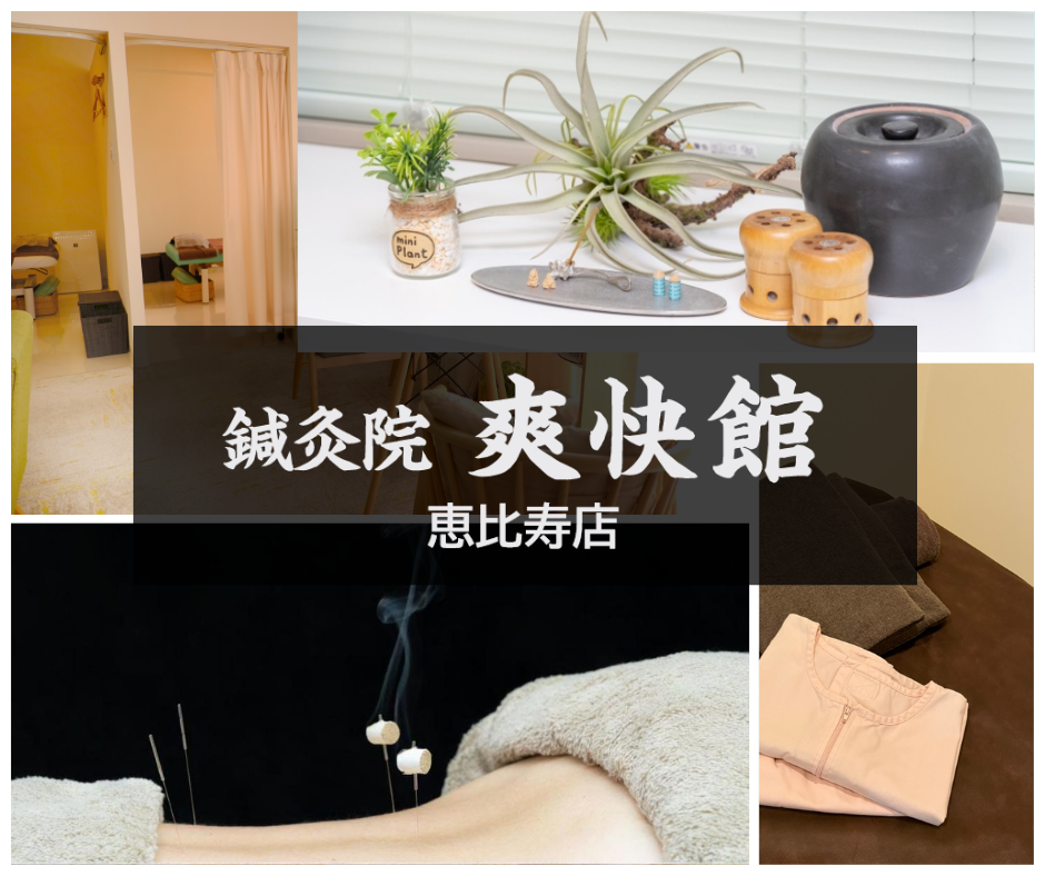 鍼灸院 爽快館 恵比寿店